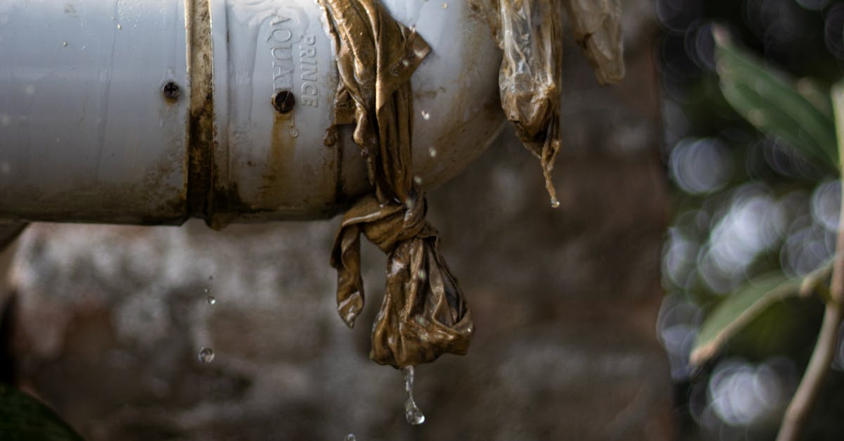 Water leak detection and repair service