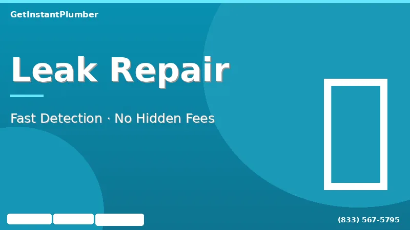 Water leak detection and repair service