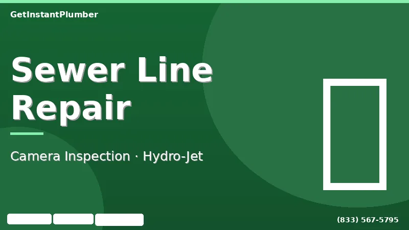 Sewer line inspection and repair