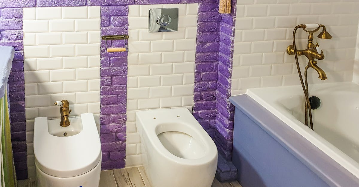 Toilet that won't flush — plumber diagnosing problem