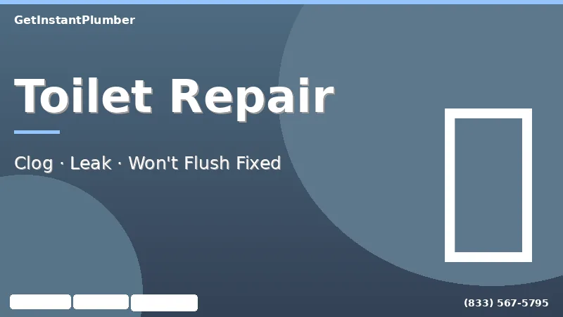 Toilet repair service by licensed plumber