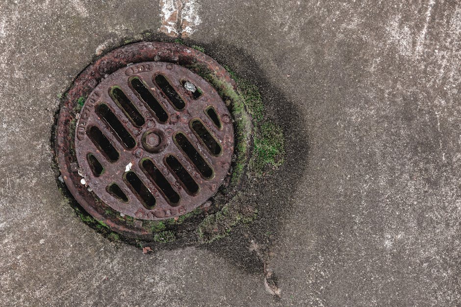 Emergency sewer backup repair - professional plumber clearing sewer line in Chicago basement